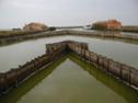 Parco del Delta del Po Emilia Romagna 2