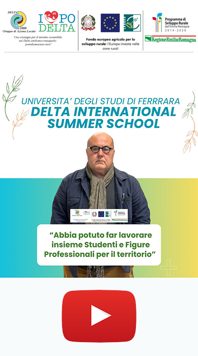 DELTA INTERNATIONAL SUMMER SCHOOL – DISS