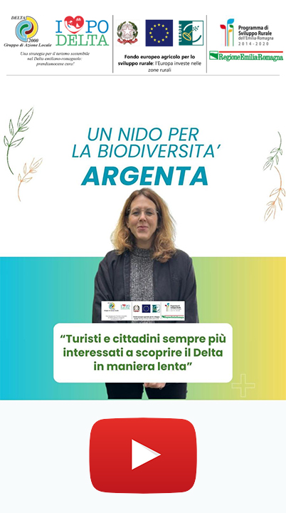 UN NIDO PER LA BIODIVERSITÀ: LEGNO, ARTE E NATURA PER LA VALORIZZAZIONE DEL PO DI PRIMARO