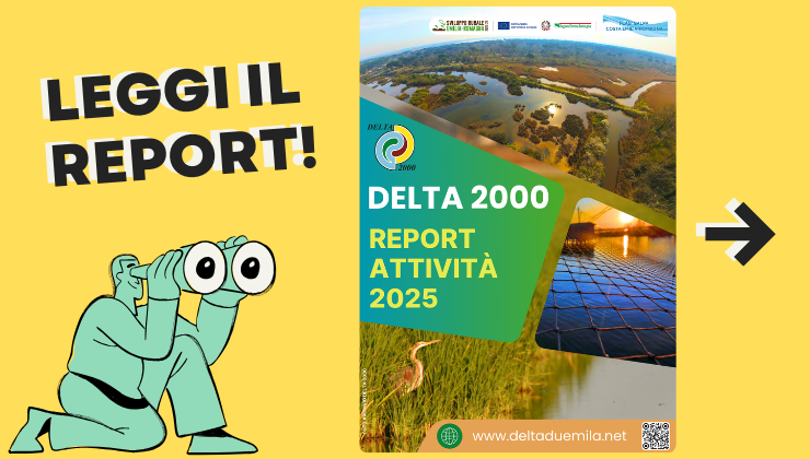 report-delta2000-2025