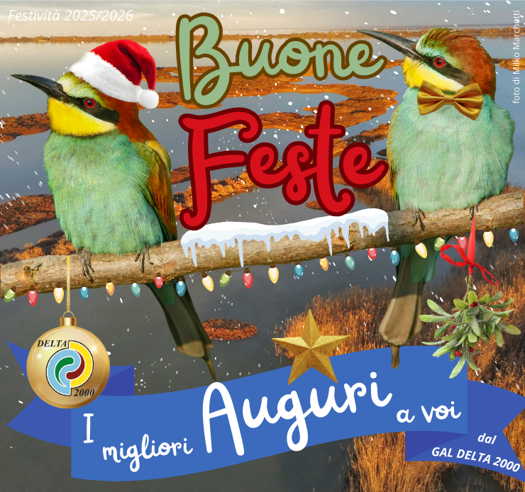 auguri-di-buone-feste