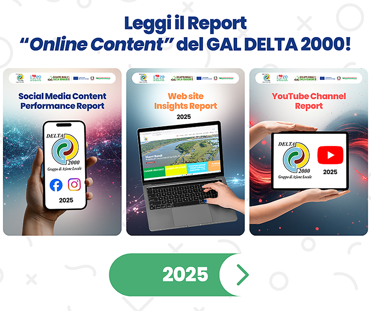 report social