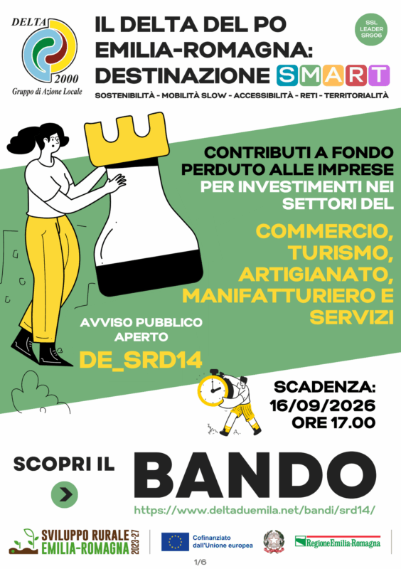 Infografica Sintesi - Bando SRD14