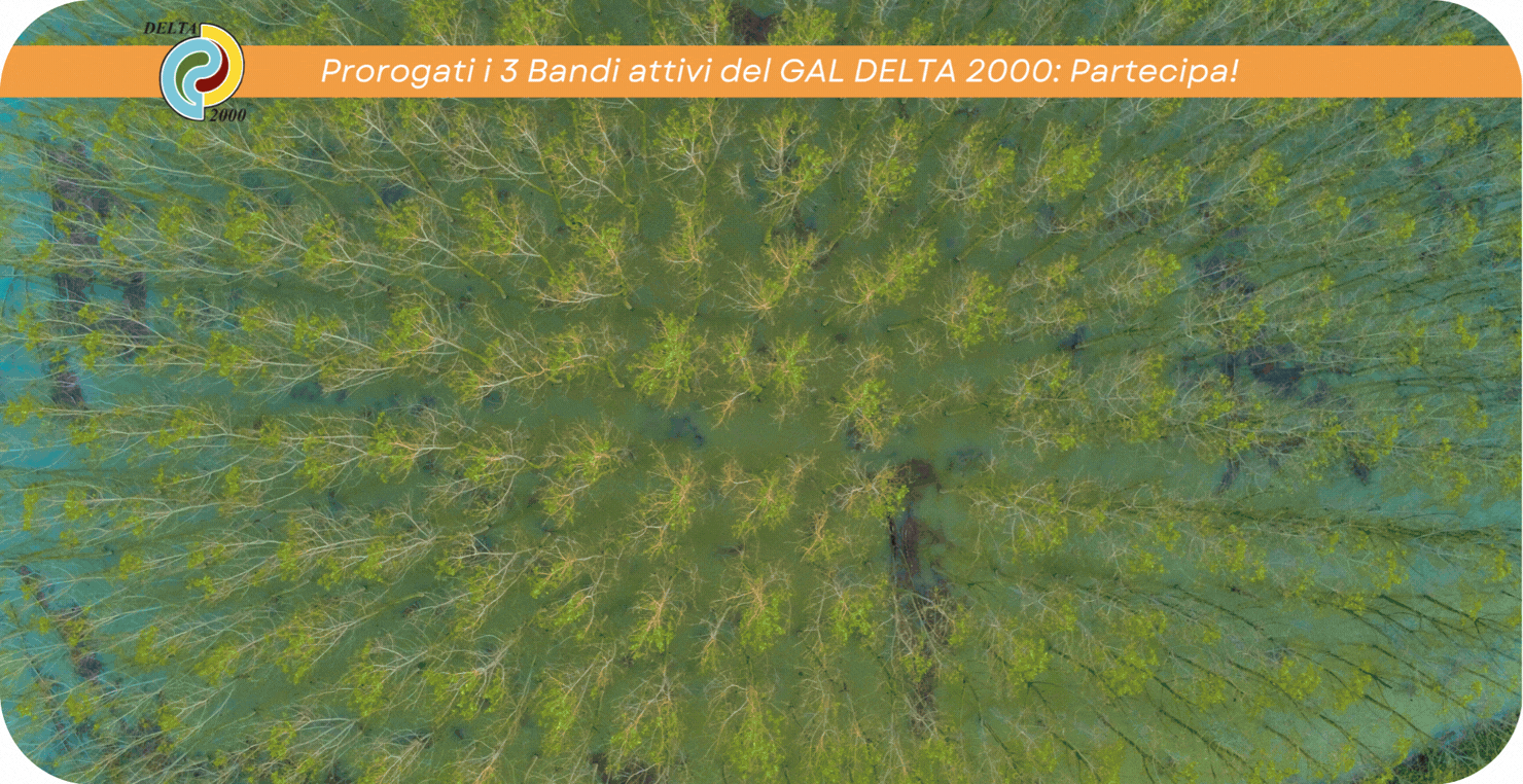 Partecipa ai 3 bandi attivi prorogati del GAL DELTA 2000