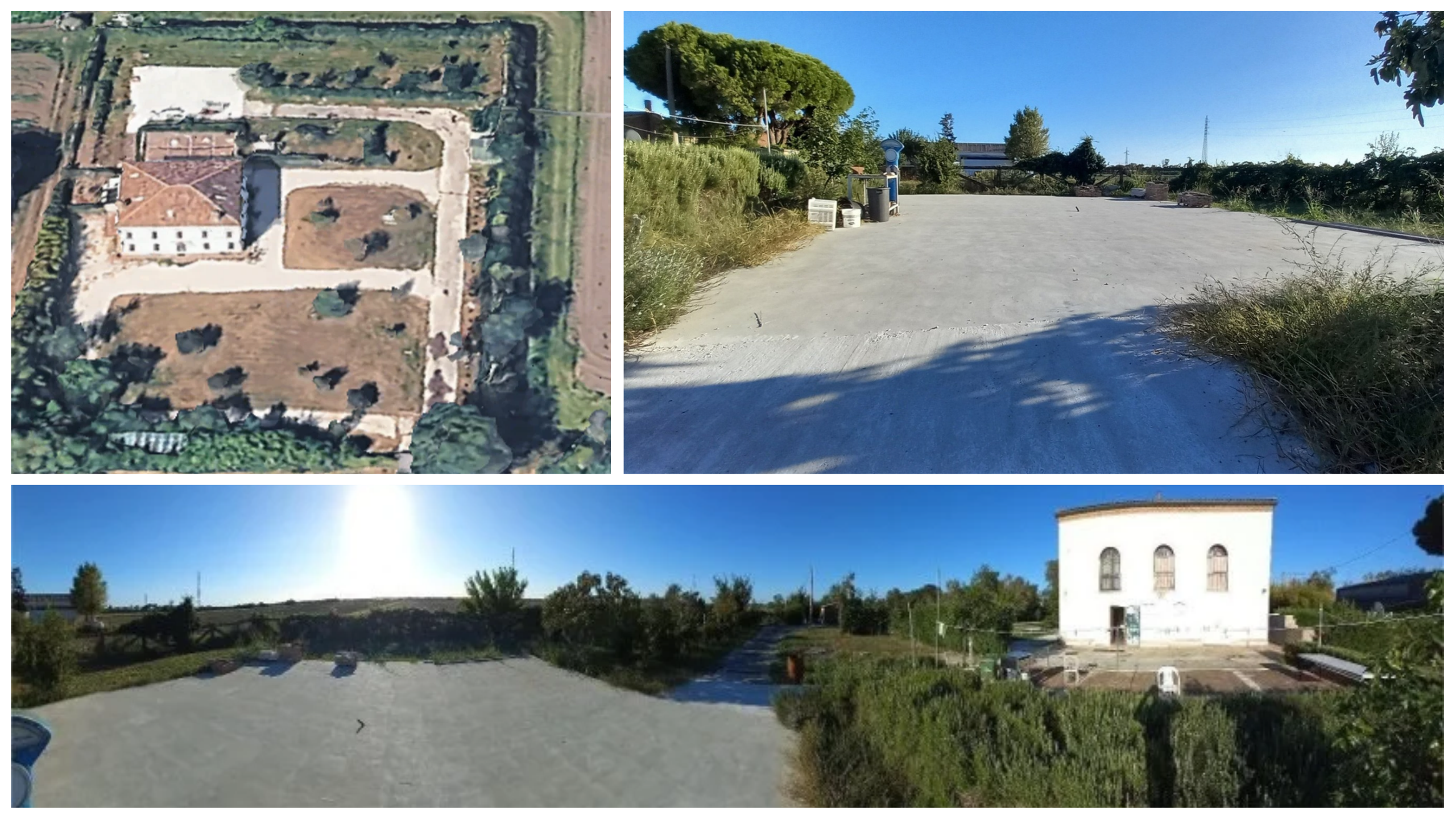 Start up I Caraibi di Vicentini Stefano