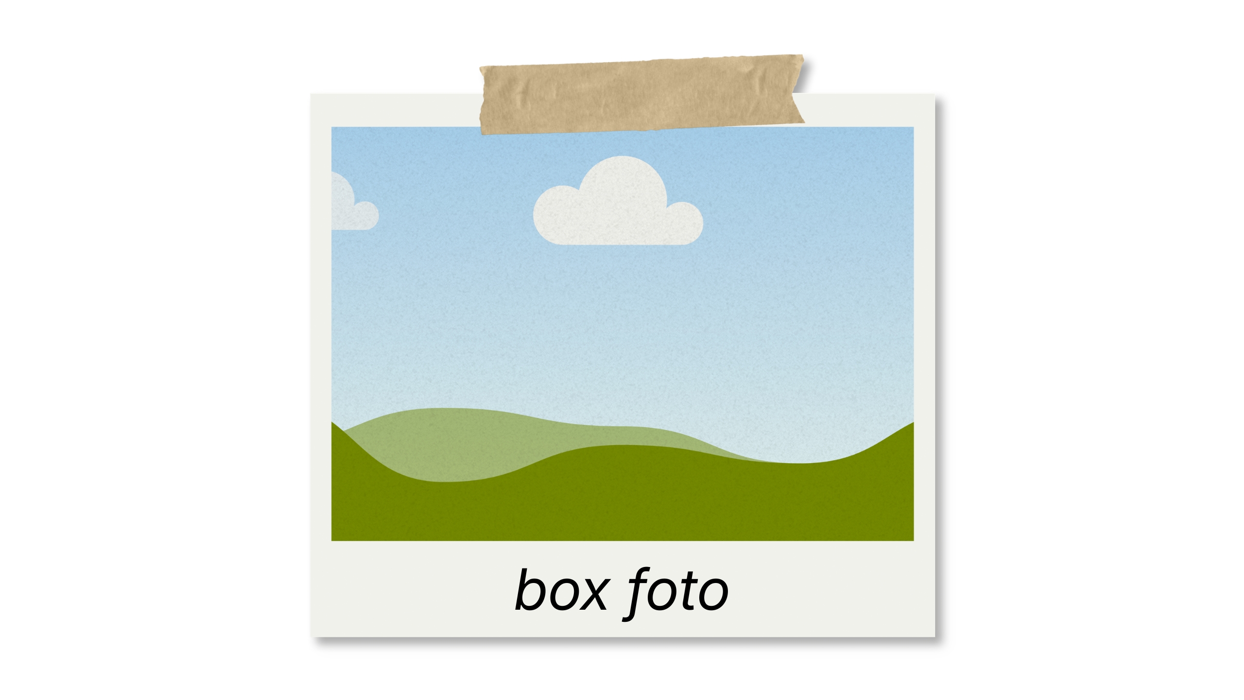 Start up Beccati Jacopo