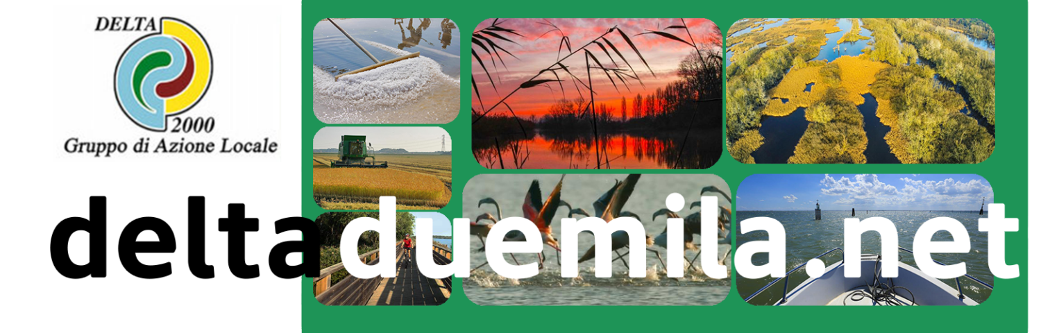 banner GAL DELTA 2000